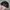 Salomon Gorpcore Sportswear Hat Pria black photo 4