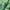 Oioi Casual Sweater Wanita green photo 4