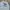 Adidas Luxury Casual Sweater Pria gray photo 2