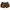 Lolita Coquette Short Wanita Brown