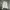 Streetwear Skater Hoody Pria gray photo 1