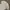 Montagut Luxury Formal shirt Pria gray blue photo 2