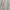 Vintage Casual Formal shirt Pria green cream photo 8