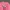 Pancoat Casual Sweatshirt Pria pink photo 2