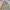 Roxy Vintage Y2K Pea coat Wanita tan brown photo 7