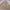 Roxy Vintage Y2K Pea coat Wanita tan brown photo 5