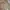 Roxy Vintage Y2K Pea coat Wanita tan brown photo 3