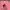 Pancoat Casual Sweatshirt Pria pink photo 2
