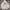 Dickies Casual Hoody Pria gray photo 1