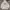 Dickies Casual Hoody Pria Gray