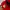 Obey Vintage Y2K Hat Pria red photo 4