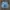 Pelle Pelle Vintage Y2K Jeans Pria navy blue photo 1