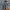 Cross Colours Vintage Y2K Jeans Pria gray photo 5