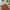 VANS Casual Sneakers Pria green photo 4