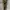 Old Navy Streetwear Y2K Jeans Pria tan cream photo 4