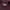 Carhartt Streetwear Minimalist T-shirt Pria burgundy photo 4