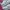 Nike Streetwear Casual Sneakers Pria white cream photo 2