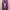 Oakley Streetwear Gorpcore Casual pants Pria purple photo 4