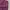 Oakley Streetwear Gorpcore Casual Pants Pria Purple