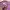 KIRSH Streetwear Sweater Pria purple photo 3