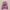 KIRSH Streetwear Sweater Pria Purple