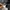 Oakley Streetwear Gorpcore Casual pants Pria white photo 6