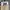 Dickies Streetwear Casual pants Pria khaki photo 4