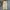 Dickies Streetwear Casual pants Pria khaki photo 3