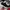 Adidas Sportswear Wanita white black photo 1
