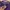 The North Face Casual T-shirt Pria Purple