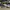 Adidas Streetwear Casual Sneakers Pria white black photo 1