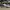 Adidas Streetwear Casual Sneakers Pria White Black
