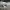 Adidas Streetwear Casual Sneakers Pria white black photo 6