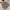 Casual Casual shirt Pria white brown photo 1
