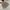 Casual Casual shirt Pria white brown photo 5