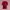 Adidas Vintage Jersey Pria red photo 3