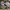 Adidas Sportswear Pria gray photo 6