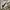 Nike Vintage Windbreaker Pria white photo 1