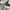 Nike Vintage Windbreaker Pria white photo 3