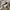 Nike Vintage Windbreaker Pria white photo 5