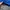 Sportswear Windbreaker Pria blue photo 5