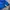 Sportswear Windbreaker Pria blue photo 3