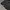 The North Face Gorpcore Windbreaker Pria gray photo 4
