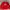 Dickies Casual Sweater Pria Red
