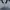 Hollister Luxury Polo shirt Pria white black photo 2