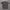 The North Face Sportswear Jersey Pria gray photo 1