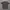 The North Face Sportswear Jersey Pria Gray