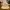 Carhartt Vintage Hat Pria tan photo 1