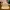Carhartt Vintage Hat Pria Tan