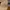 Carhartt Vintage Hat Pria tan photo 2